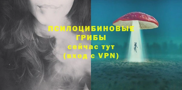 твердый Покачи