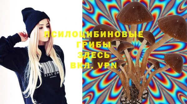 гашик Покров