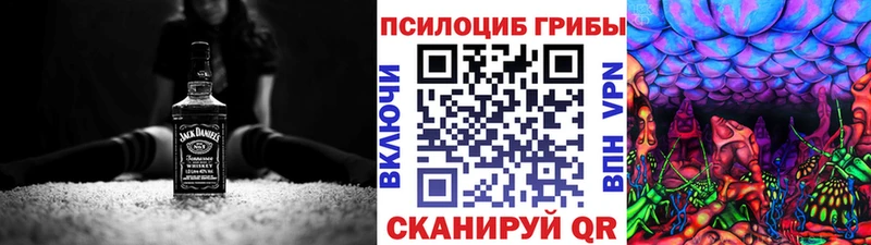 Псилоцибиновые грибы мицелий  купить наркотики сайты  Балахна 