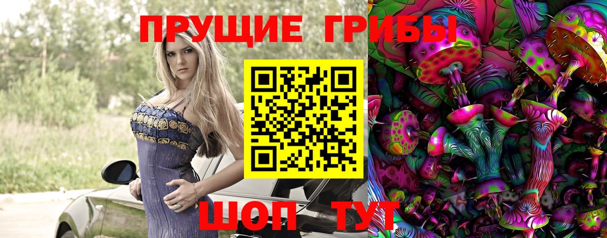 Псилоцибиновые грибы мицелий Балахна