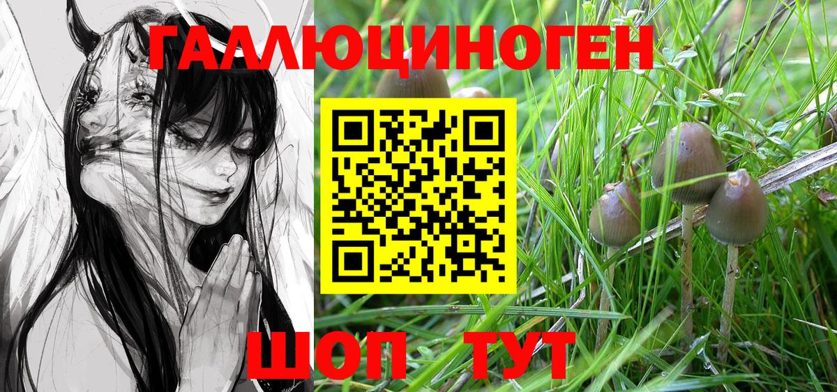 Галлюциногенные грибы прущие грибы Балахна