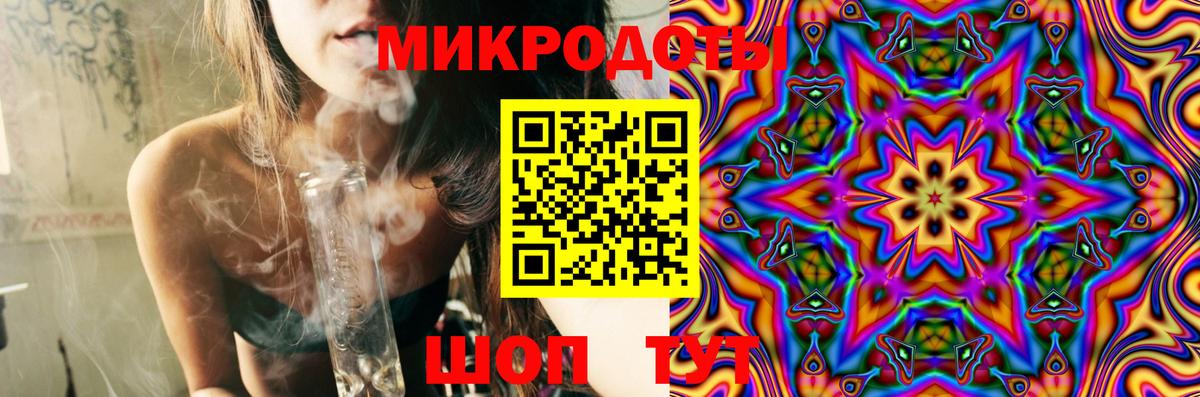 Галлюциногенные грибы Psilocybe  Балахна  Галлюциногенные грибы Psilocybine cubensis 