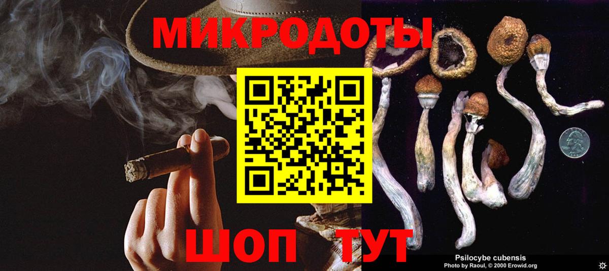 Балахна  закладка  Вход с VPN  Галлюциногенные грибы Magic Shrooms 